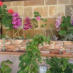 Tina Hotell Chania (Crete)