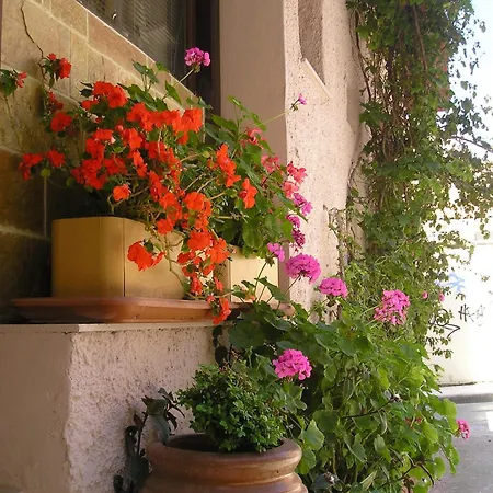 Tina Chania (Crete)