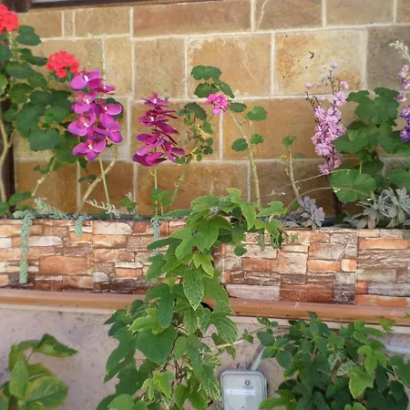 Tina Hotel Chania (Crete)