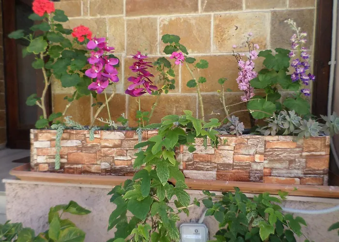 Tina فندق خانيا